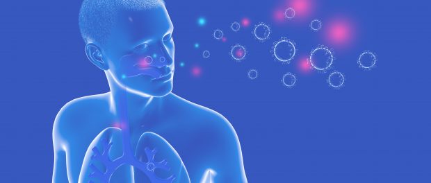 3D illustration of Anatomy of the human respiratory system and the viruses and bacteria that can enter it.